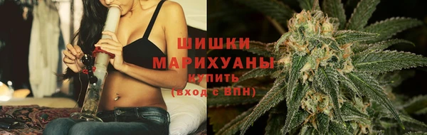 Альфа ПВП Костерёво