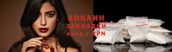спайс Корсаков