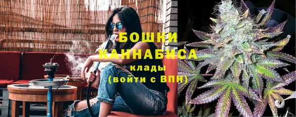 спайс Корсаков