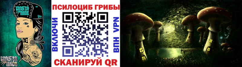 Галлюциногенные грибы Psilocybe  Оса 